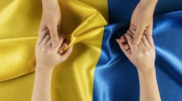 Наші напрямки